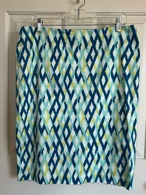 Ann Taylor Pencil Skirt